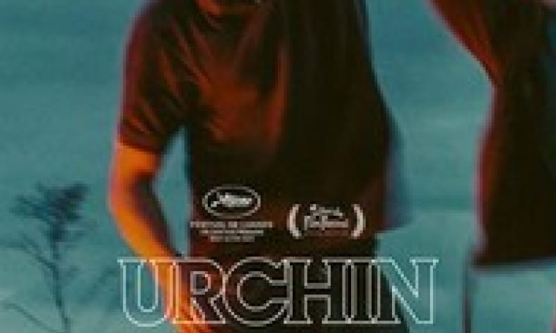 Urchin