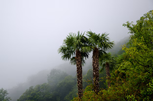palentu